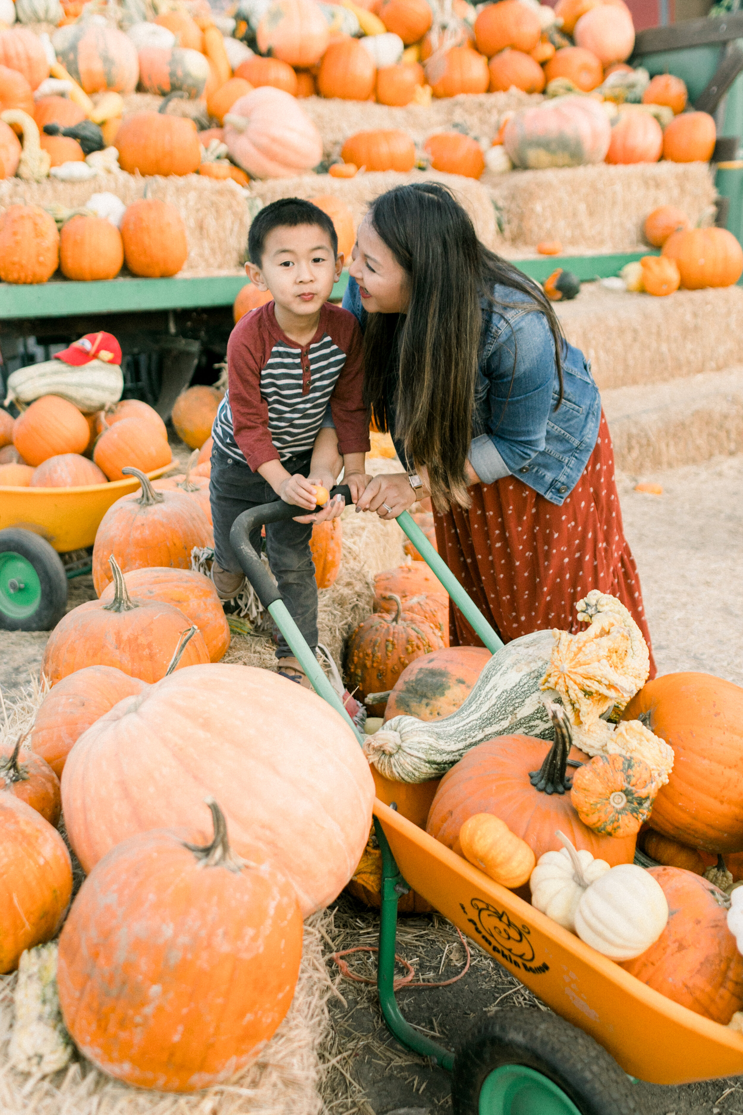  Pumpkins Patch Fun for Everyone on Hello Rascal Kids. Family lifestyle blog for parents and kids. 
