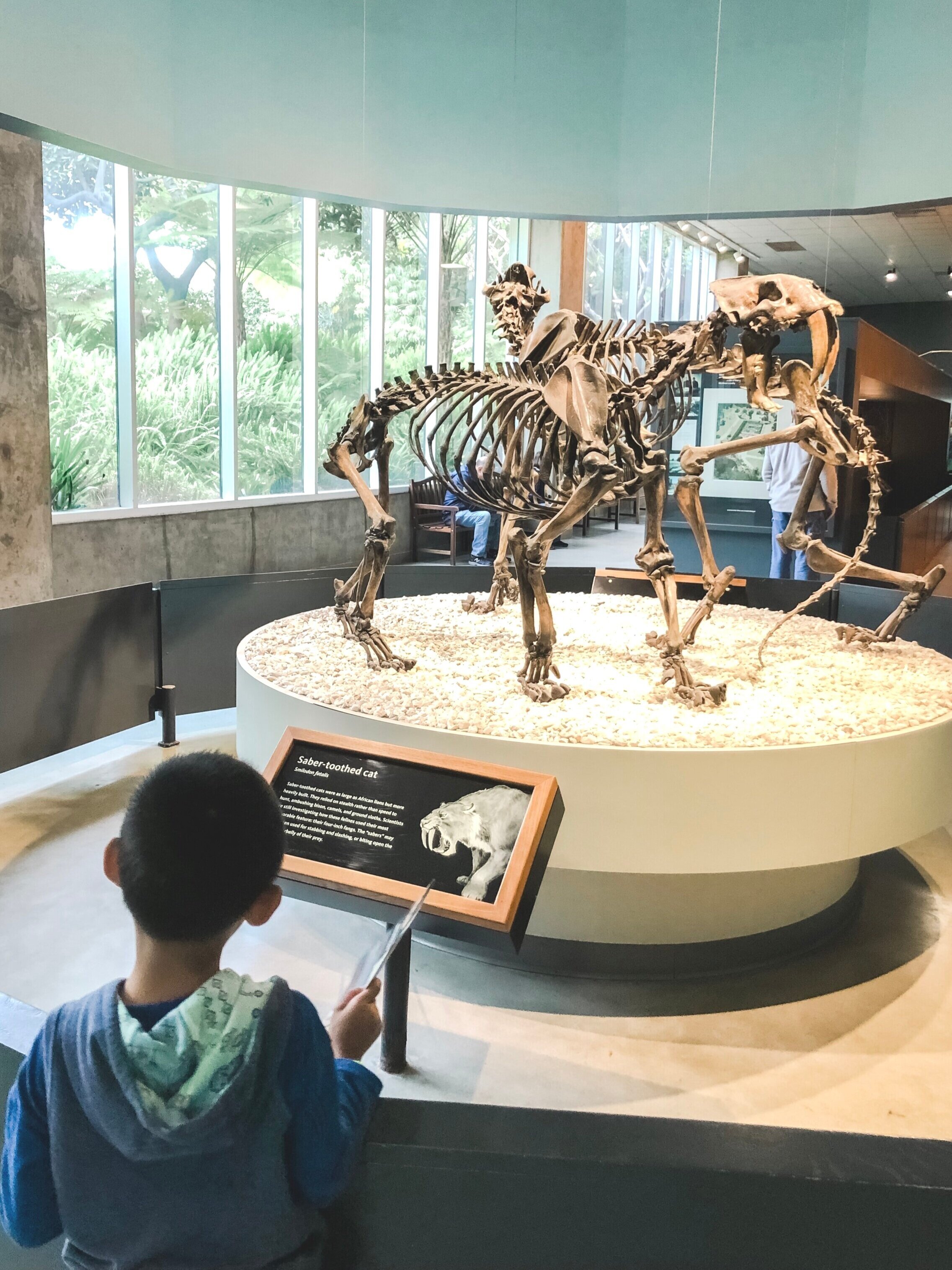  La Brea Tar Pits on Hello Rascal Kids. Family Lifestyle website for parents and kids. 