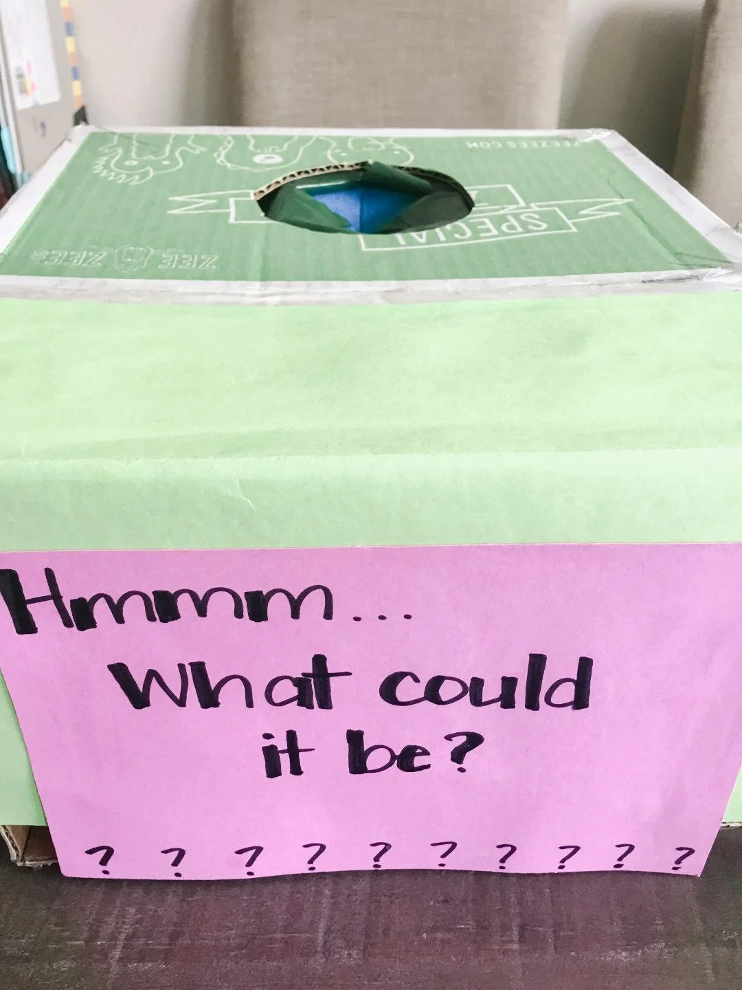 Mystery Box Preschool Activity — Hello Rascal Kids