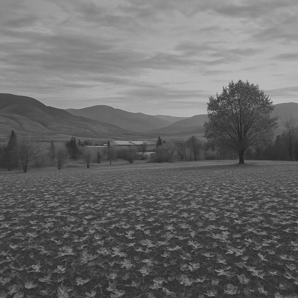 Today, we pause to remember.

To honour the courage, sacrifice, and resilience of those who served, and those who continue to serve, our country and our communities.

May we carry forward their legacy by showing up for one another with compassion, co