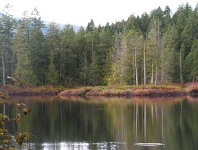 maple lake krista.jpg