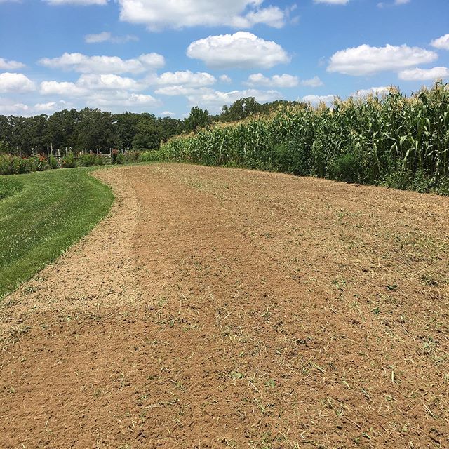 Hard to believe it&rsquo;s that time of year already! We've begun the process of shallow tilling the grain plots to get them ready for a clover cover crop later this month. These plots will be our corn plots next summer. I always love the contrast of