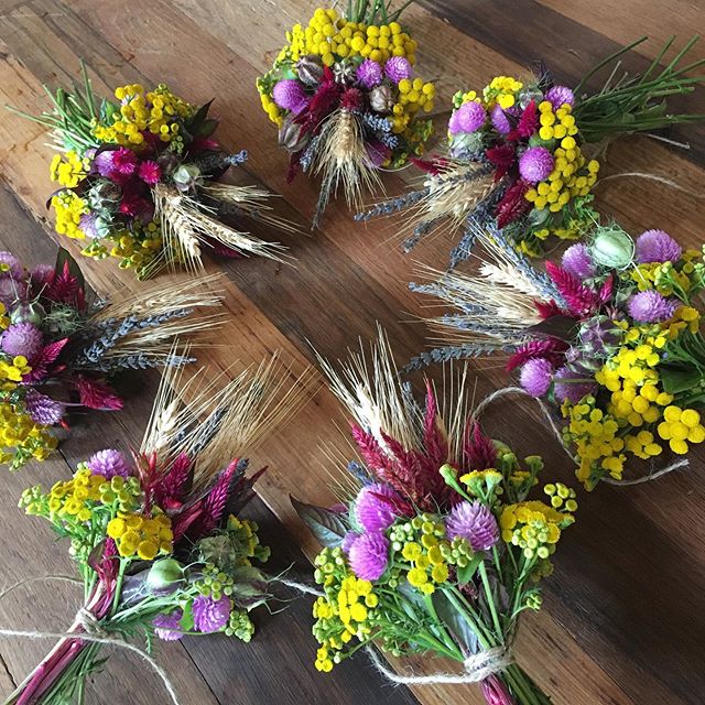 These tussy mussy bouquets are made from flowers from my 18th century french heritage collection. The first picture shows them fresh, the second is showing one dried. They include tansy, globe amaranth, wheat, celosia, lavender and nigella seed pods.