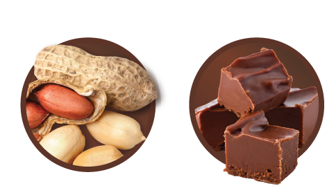 Flavor descriptions showcasing the flavors of Peanut and Fudge with photography of each in a circle shape