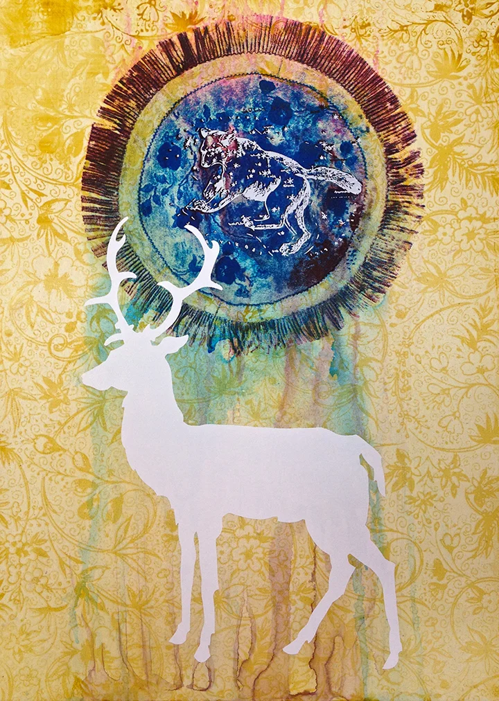 Ursus Major (my Beloved) , 20 x 16 inches, screenprint on arches 88 paper, 2013