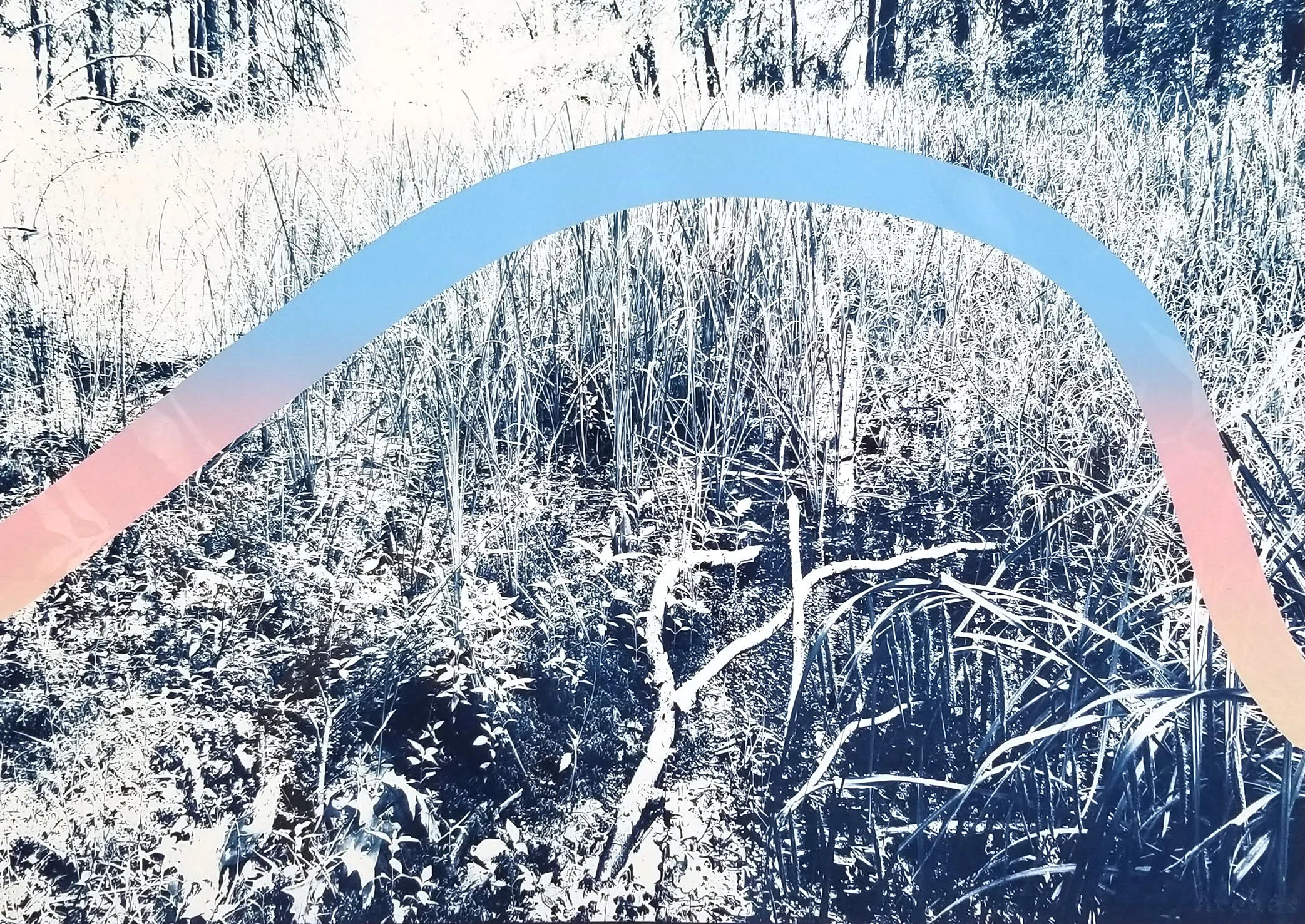 A river runs through it_And the devil, Cyanotype and Silkscreen, 28" x 20", 2020