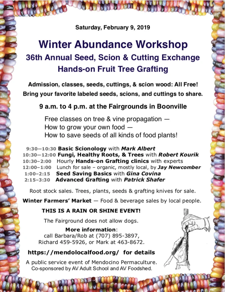 winter abundance.jpg