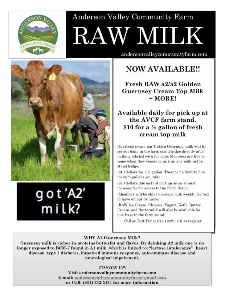 raw milk.jpg