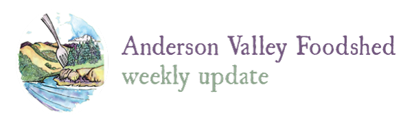 AV Foodshed Weekly update.png