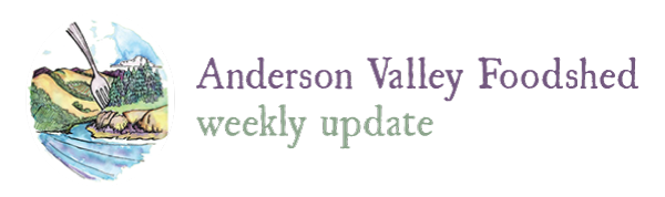 AV Foodshed Weekly update.png