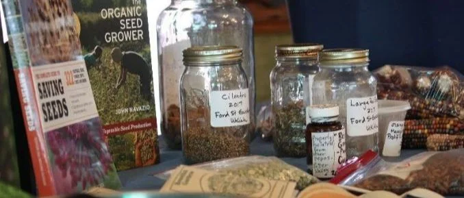 savings seeds.jpg
