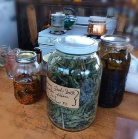 HERBS.jpg