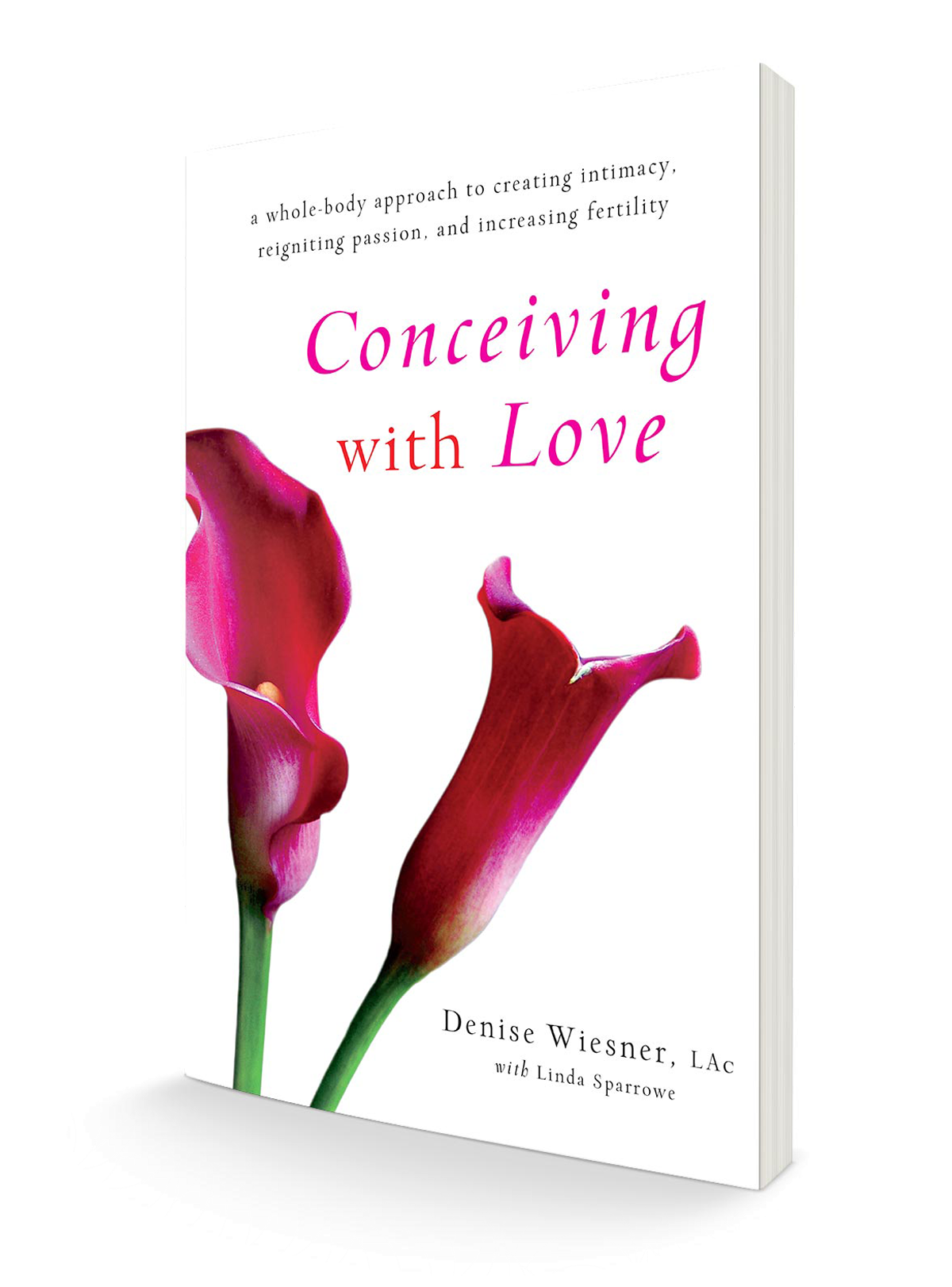 3D Book Cover_Conceiving with Love transparent.png