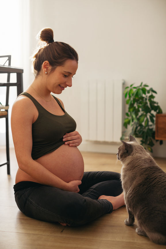 Single pregnant woman chatting with her cat after conceiving with the help of fertility expert Denise Wiesner