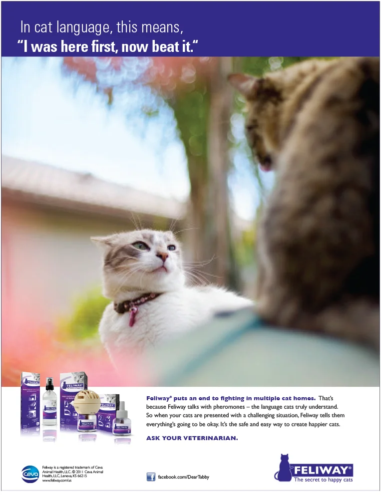 Feliway-3.jpg