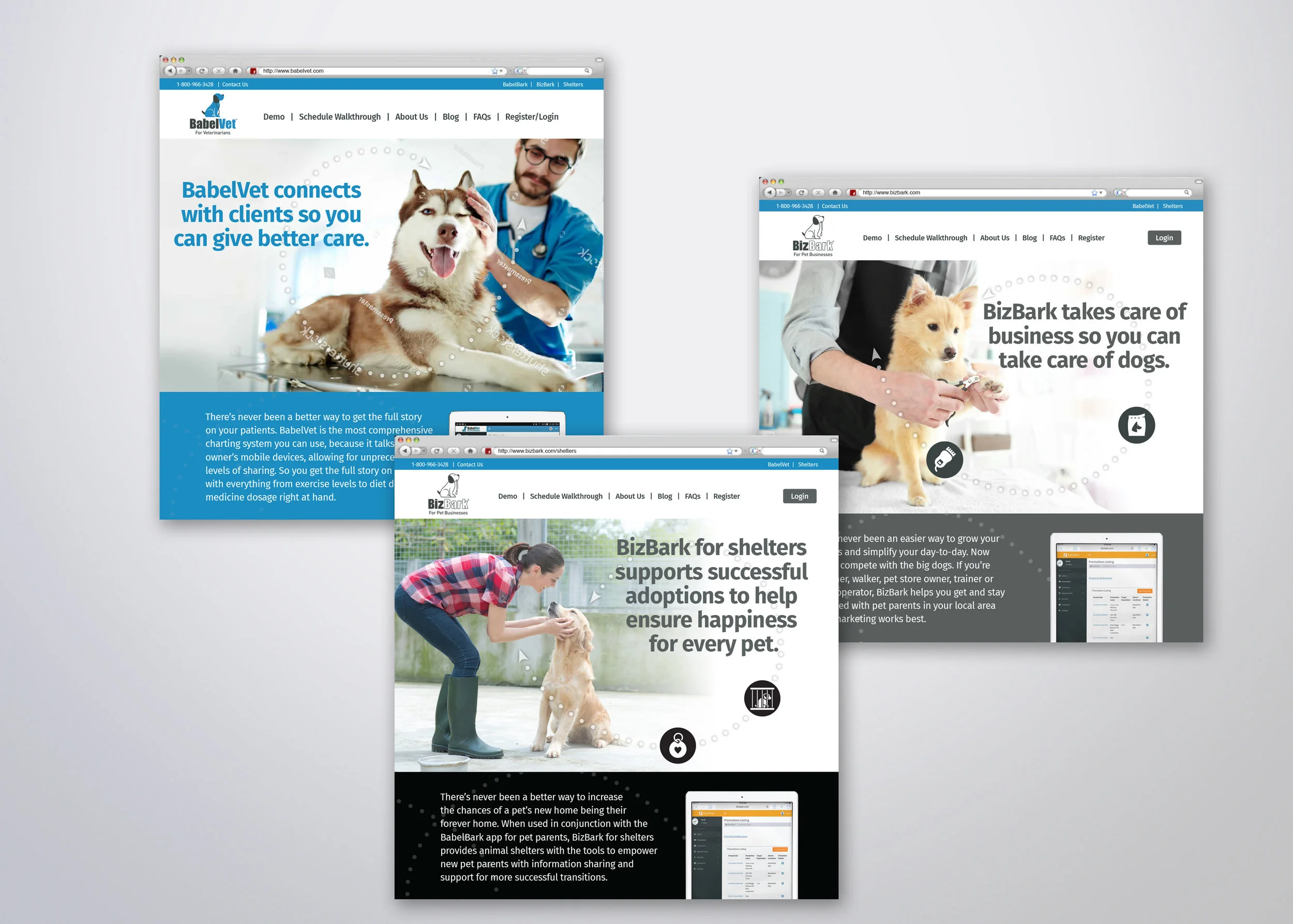 BabelBark Webpages.jpg