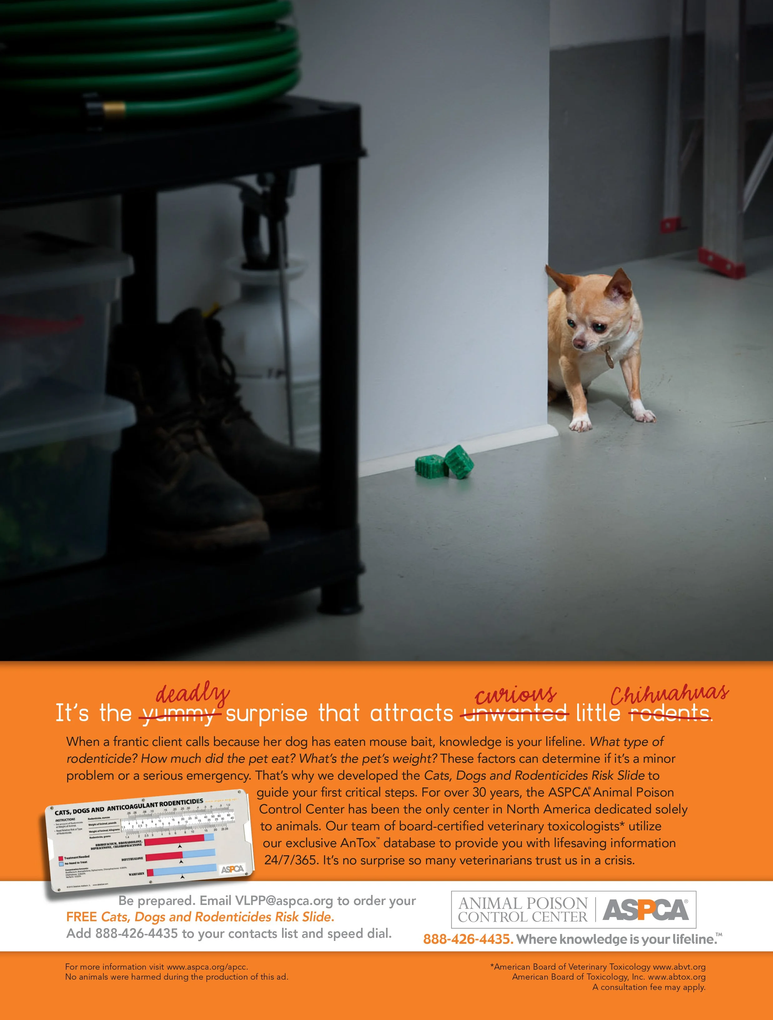 ASPCA Animal Poison Control Center Peter Corcoran aspca-animal-poison-control-center-peter-corcoran