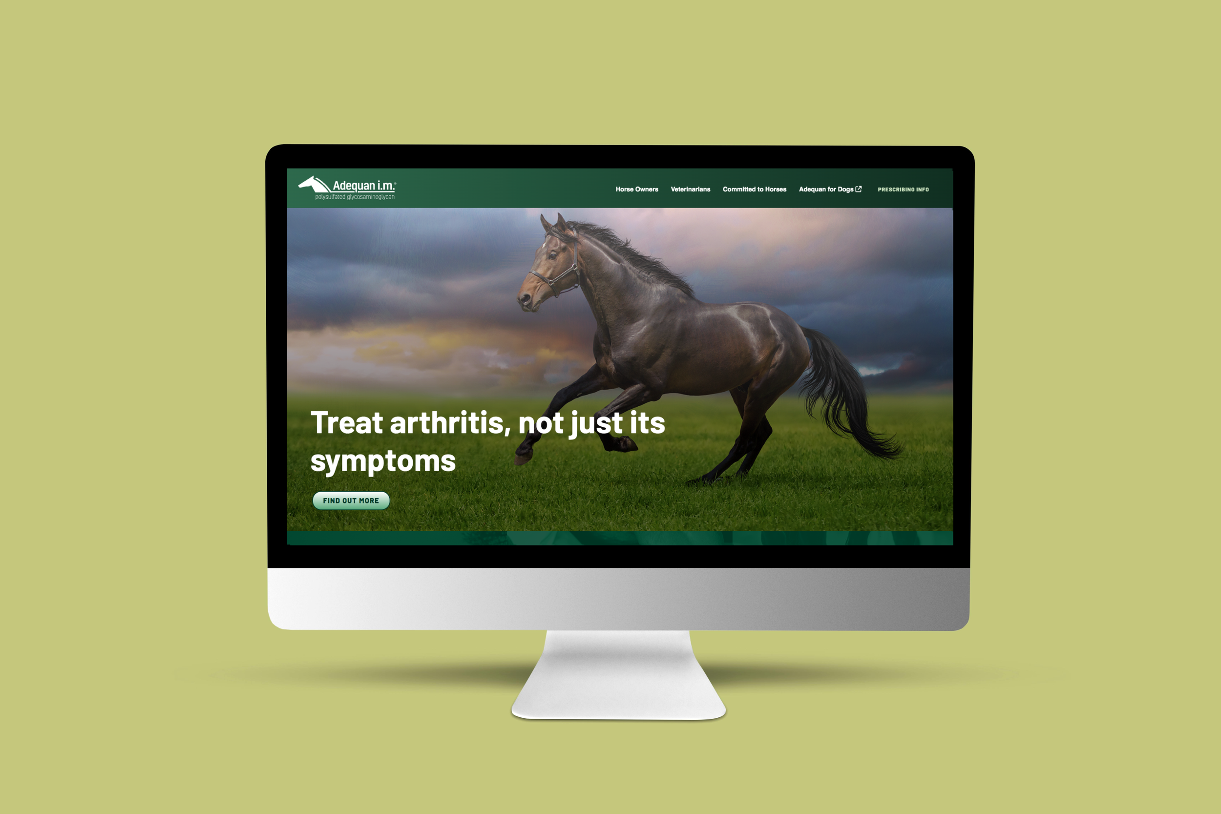 Adequan Equine Homepage