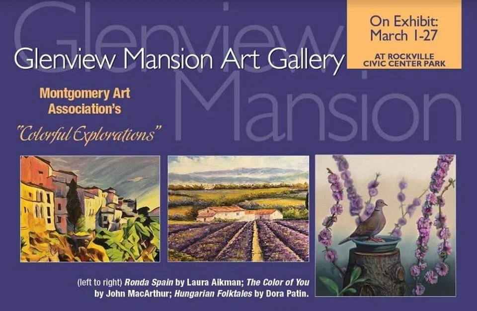 Upcoming Show: Montgomery Art Association's "Colorful Expectations", at the Glenview Mansion in Rockville, Maryland