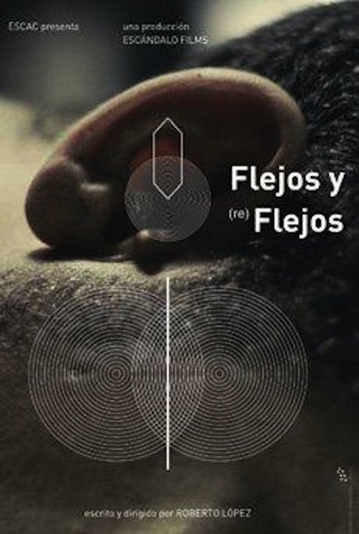 flejos_y_reflejos_s-362288786-large.jpg