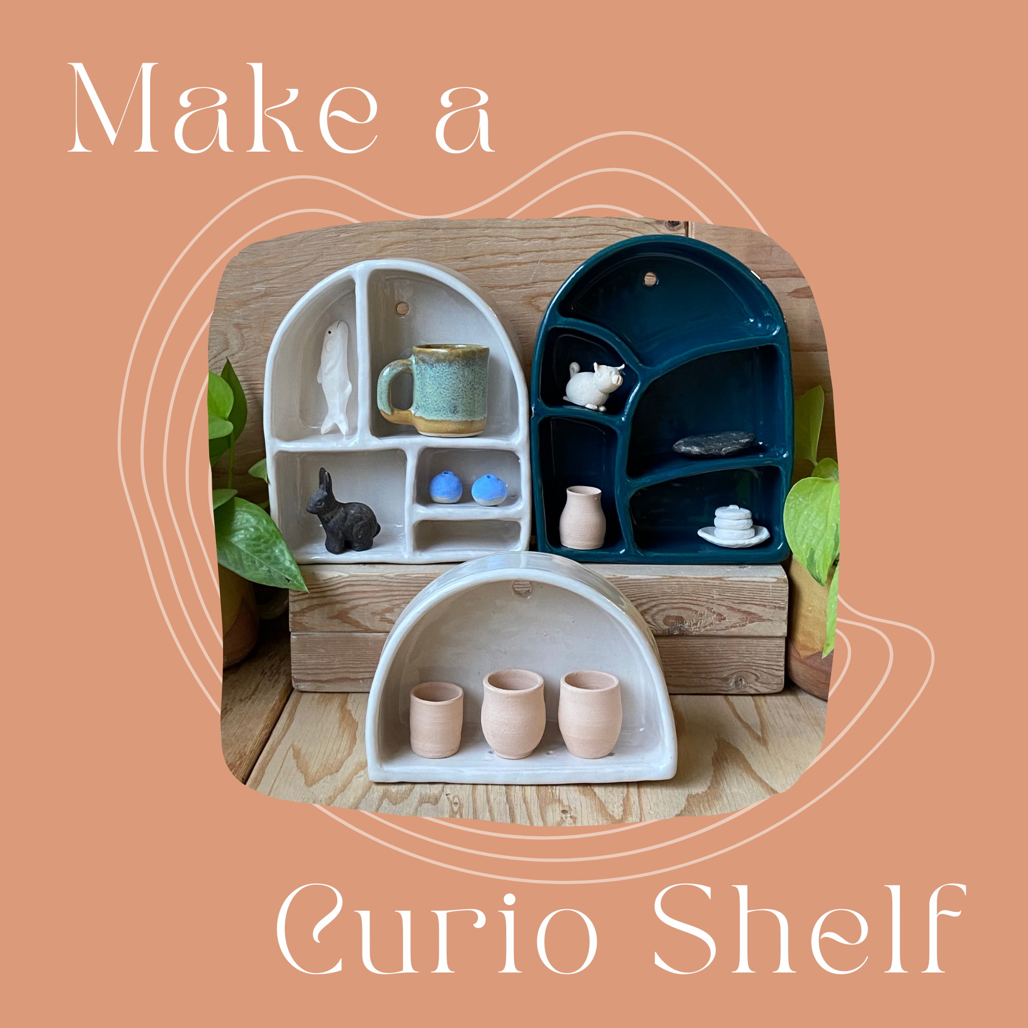 Make-a-Curio Shelf - January 31st, 2026 - 2:30pm-5:00pm