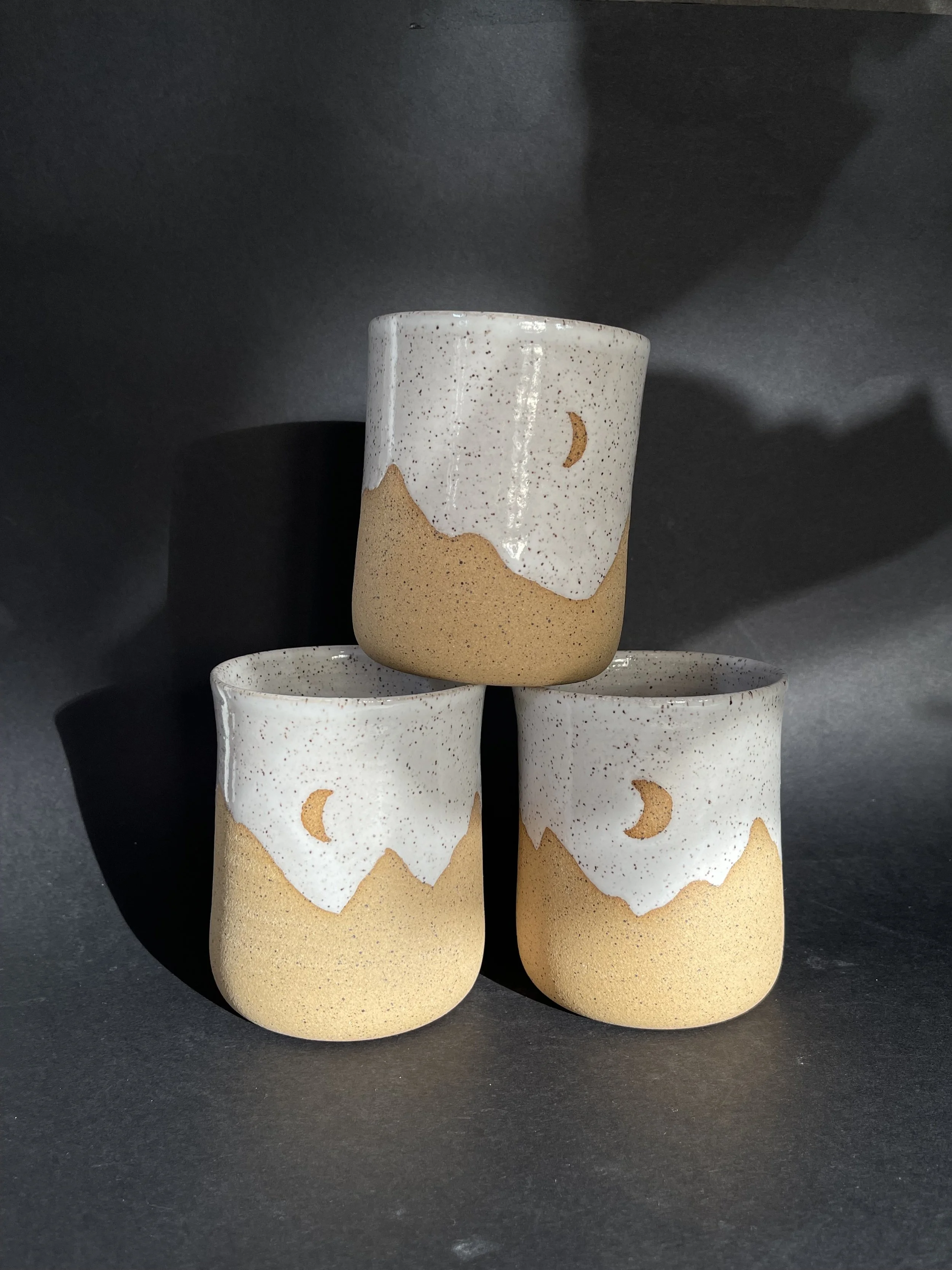 West Coast Mountain Tumbler