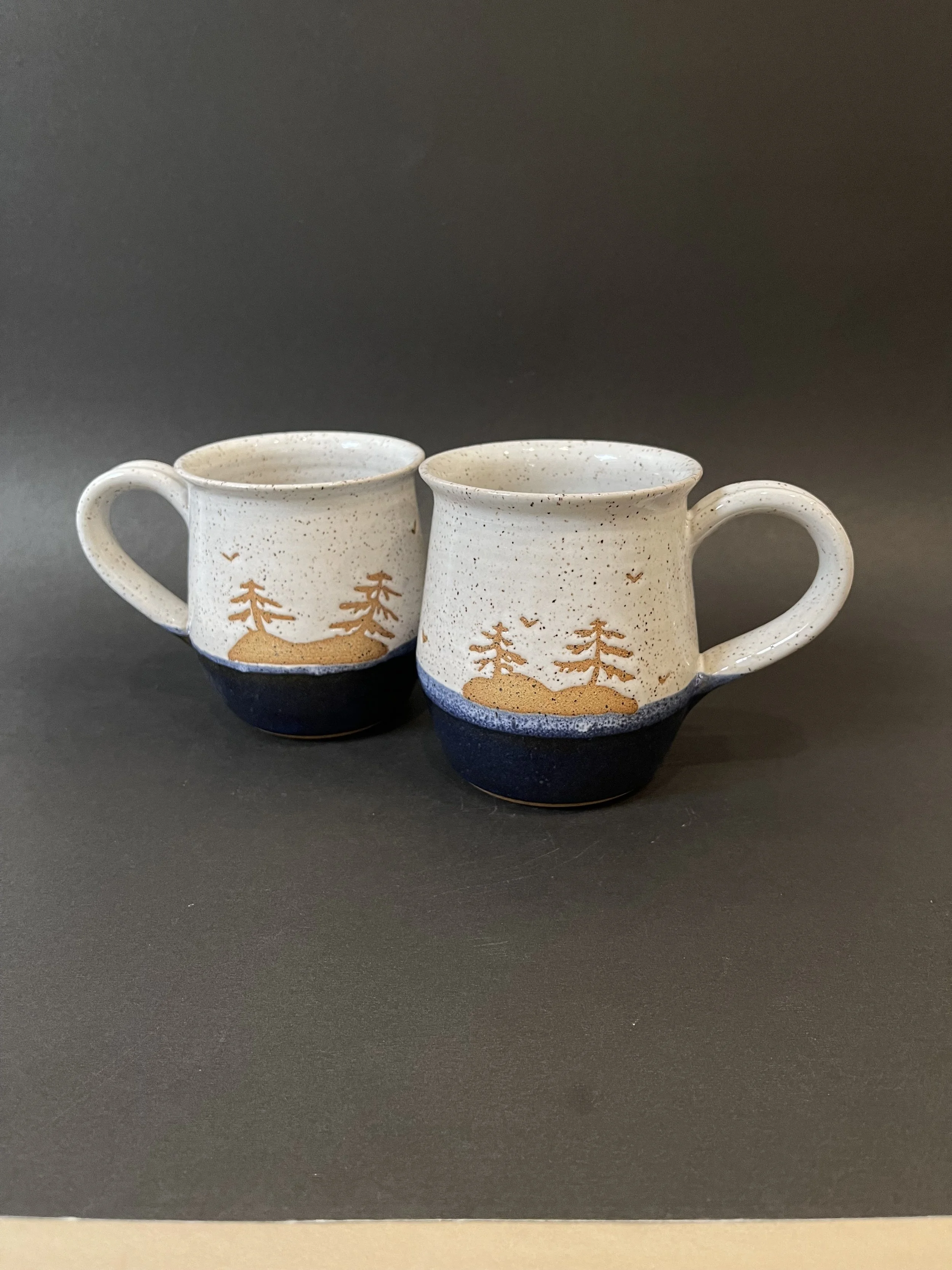 Medium Foggy Gulf Islands Mug