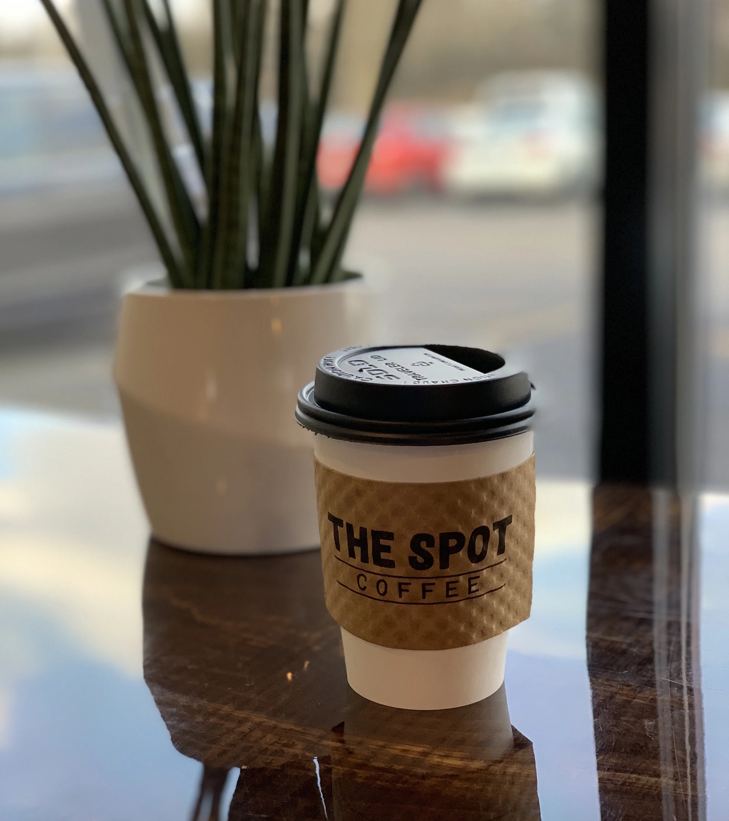 the spot cover cropped.jpeg