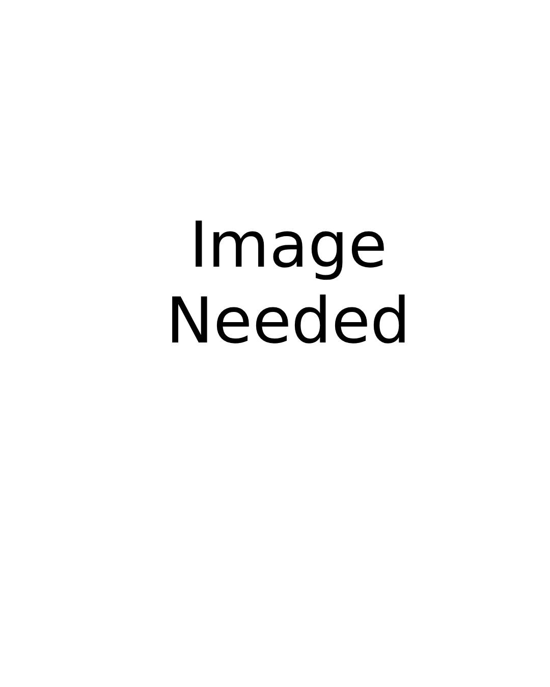 Image_Needed.png (Copy)