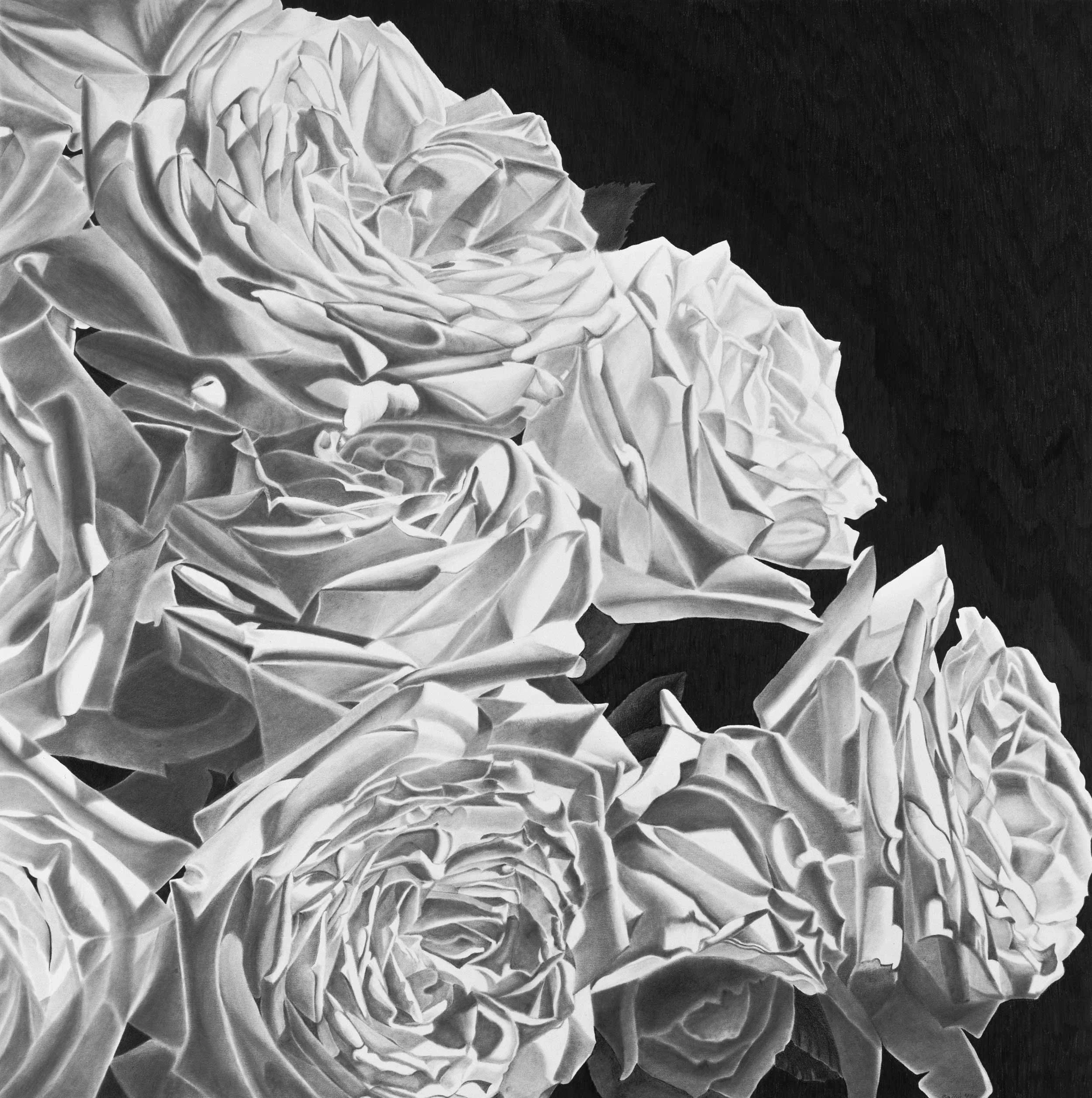 White Shadows II