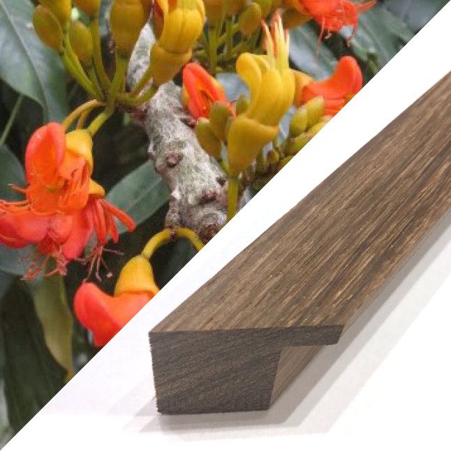 Blackbean timber frame