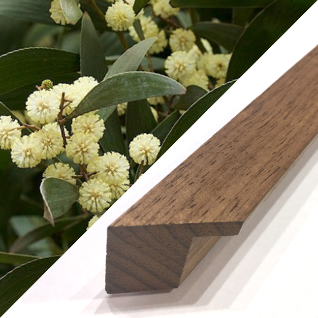 Blackwood timber frame