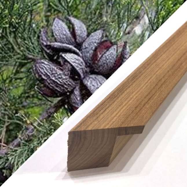 Cypress Pine Timber frame