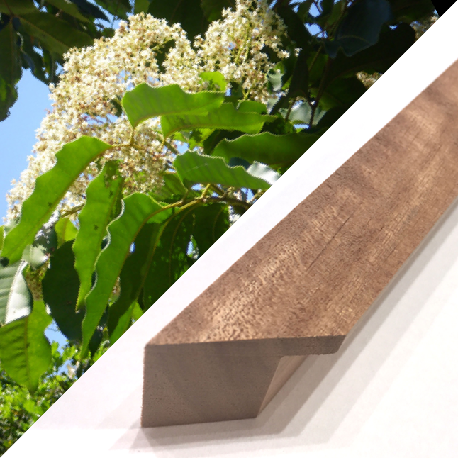 Queensland Maple Timber Frame