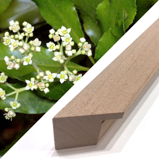 Satin Sycamore Timber Frame