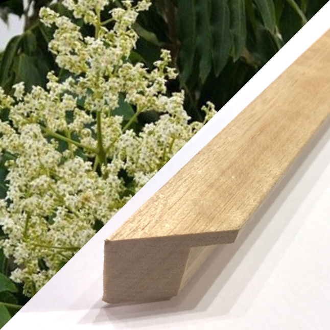 Silver Ash Timber Frame