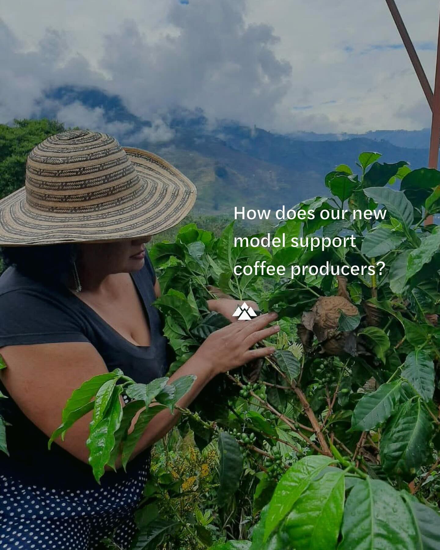 How does our new model support coffee producers?

The Always, Often, Occasional model seeks to serve all actors along the supply chain; from producer to consumer. 

Today we examine the model from the viewpoint of a producer. Pictured is Teresa Hurta