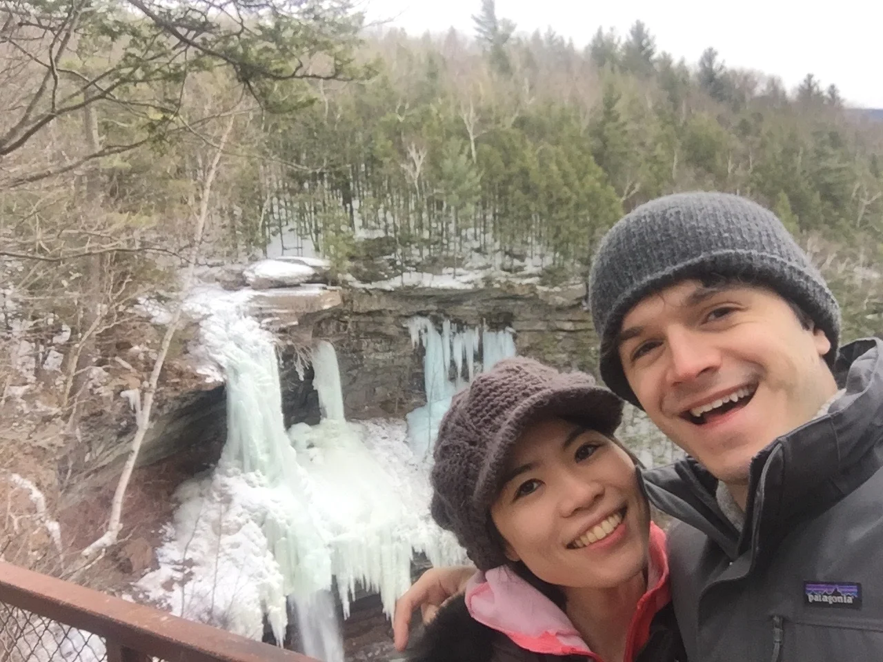 (March 2019; at Kaaterskill Falls, NY)