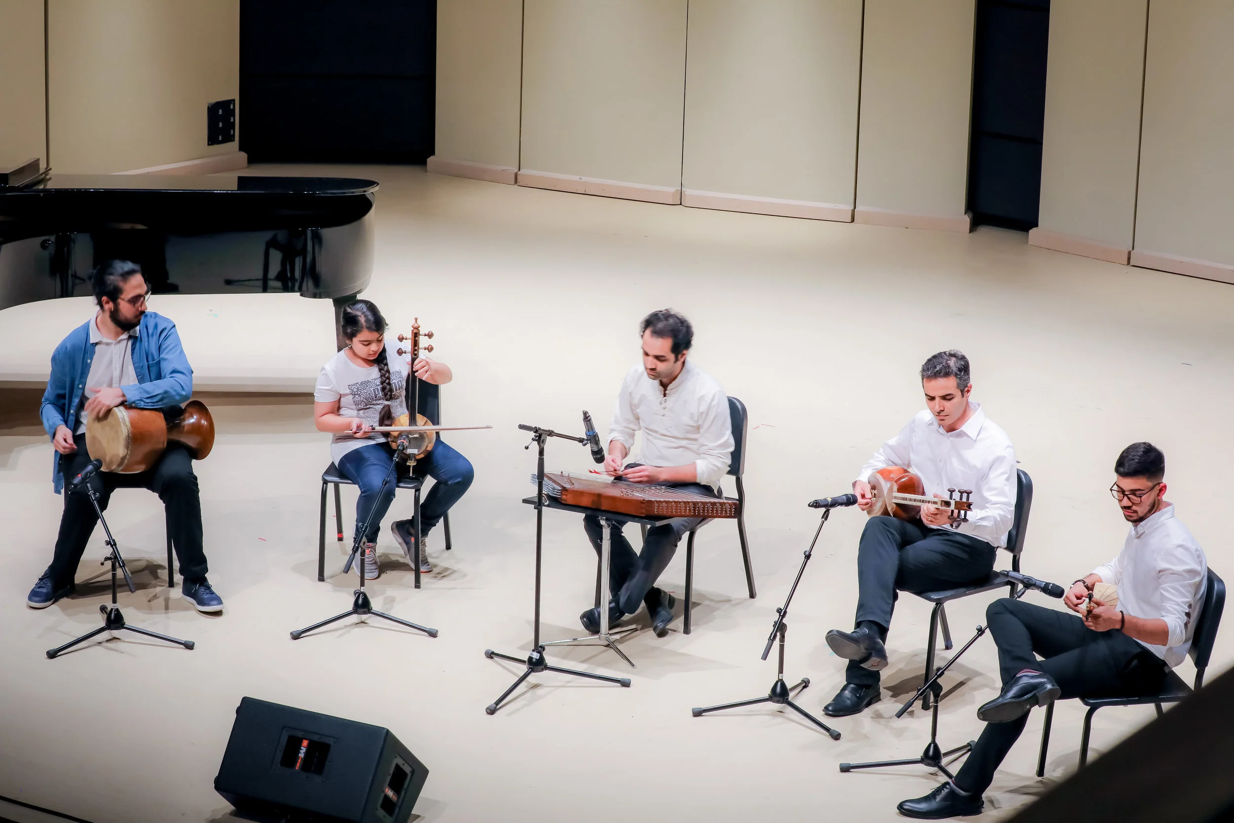Traditional Iranian Ensemble