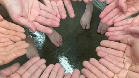 A group of hands at a pool all reach towards the center as the Open Sign at Matt Dishman Community Pool is about to begin.
