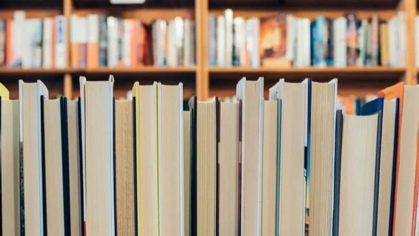 Diverse biographies for a very culturally diverse elementary school. These biographies reflect the lives of the students more than what the collection provided.