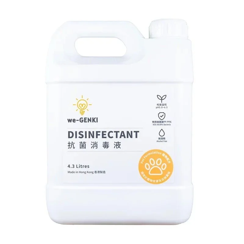 WhatsApp Image 2022-03-16 at 12.31.46 AM.jpeg