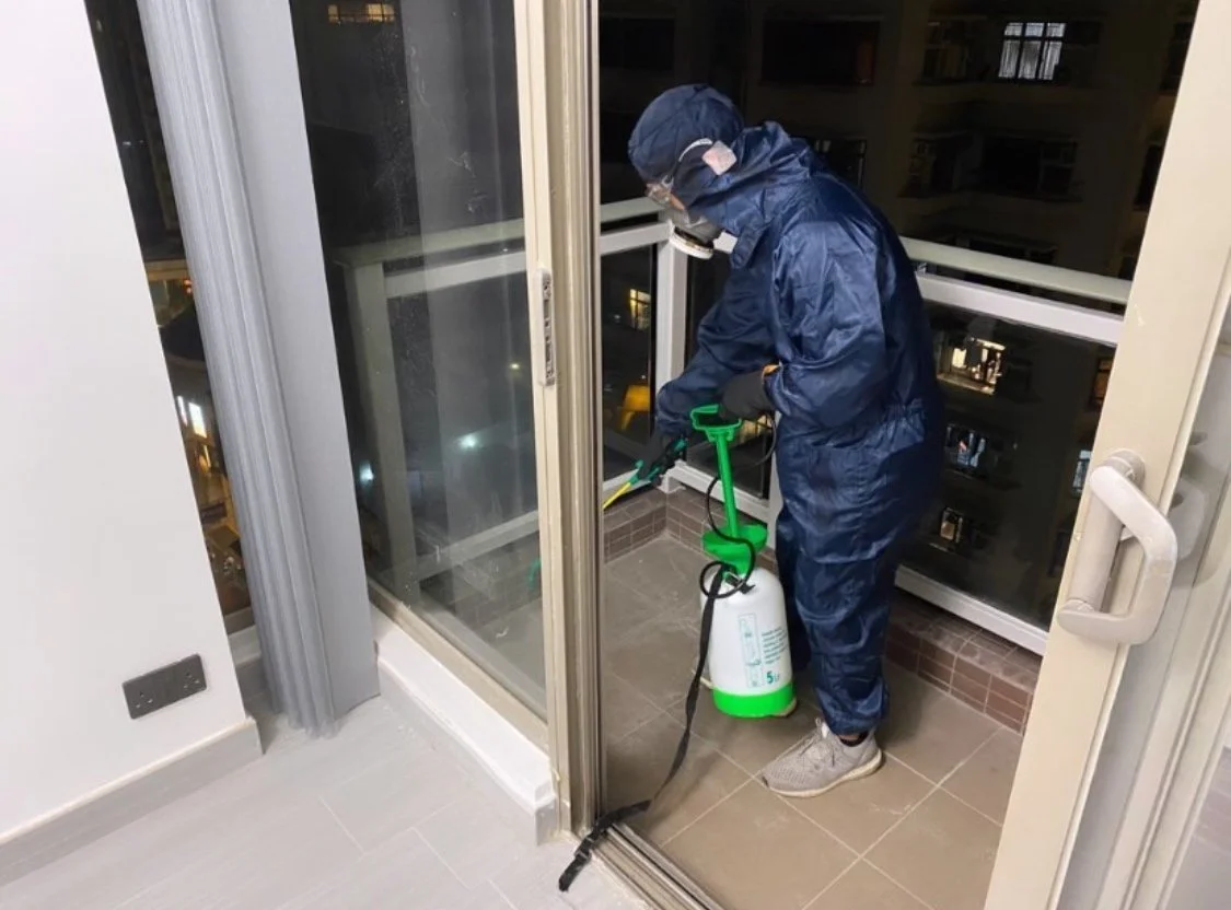 裝修後也要滅蟲？