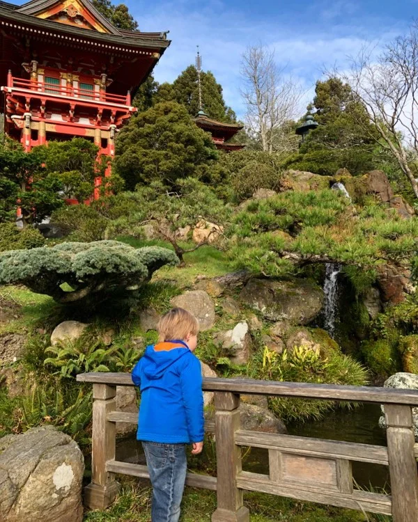 japanese tea garden san francisco.jpg