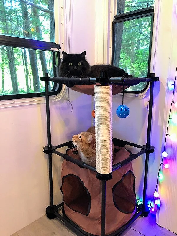rv+life+with+cat+toys+-+Edited.jpg
