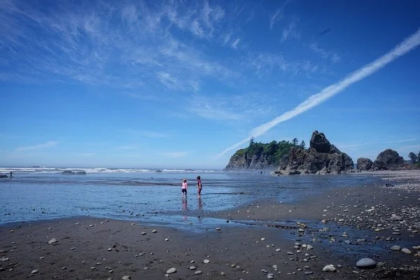ruby beach olympic national park.jpg