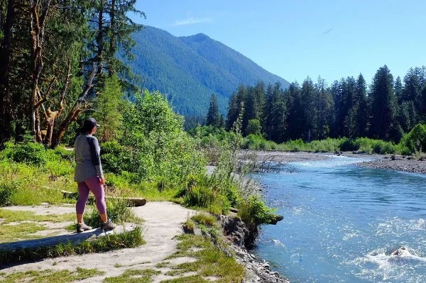 hoh rain forest.jpg