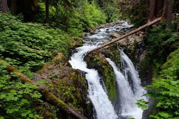 sol duc falls olympic peninsula.jpg