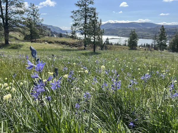 hood river hike - Catherine Creek Arch Loop