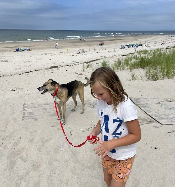 Cape Cod Vacation Rentals Best Homes & Rates Boundless Bakers